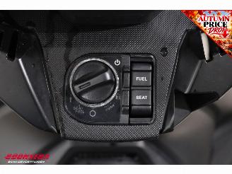 Honda  Forza 350 ABS Heizgriffe LED 3.813 km! picture 10