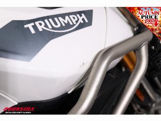 Triumph Tiger 900 Rally ABS LED Cruise Heizgriffe picture 9