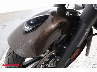 Indian  Roadmaster ABS LED Cruise Heizgriffe SHZ Navi Bluetooth Radio picture 11