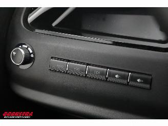 THOGO  Citycar Pano Camera Leder 561 km! picture 15