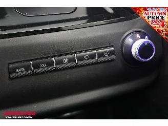   Citycar Pano Camera Leder 561 km! picture 14