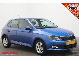Skoda Fabia 1.0 TSI Clever Cruise Navi PDC Bluetooth Airco picture 2