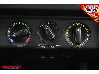 Skoda Fabia 1.0 TSI Clever Cruise Navi PDC Bluetooth Airco picture 26