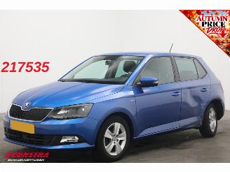 krockskadad bil auto Skoda Fabia 1.0 TSI Clever Cruise Navi PDC Bluetooth Airco 2018/8