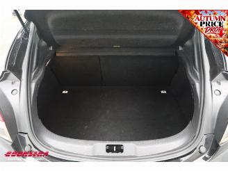 Renault Mégane 1.4 TCe Dynamique Cruise Camera Clima LED picture 17