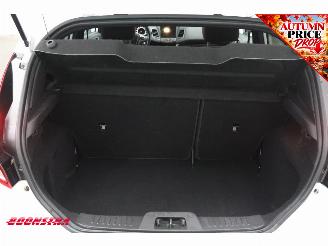 Ford Fiesta 1.0 EcoBoost ST Line 5Drs. PDC Cruise Clima LED picture 20