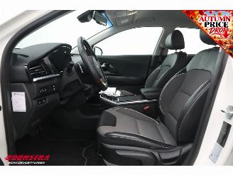 Kia e-Niro DynamicLine 64 kWh ACC Camera Clima LED Navi Apple/Android picture 14