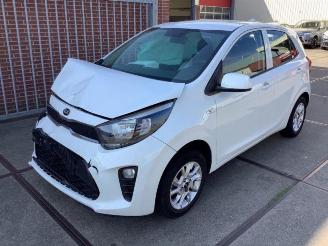 Sloopauto Kia Picanto Picanto (JA), Hatchback, 2017 1.0 12V 2018/7