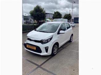 Auto da rottamare Kia Picanto Picanto (JA), Hatchback, 2017 1.0 DPi 12V 2022/12