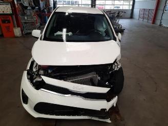 Sloopauto Kia Picanto Picanto (JA), Hatchback, 2017 1.0 DPi 12V 2023/5