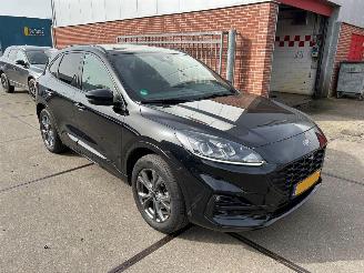 Ford Kuga  picture 2