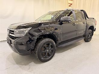 Volkswagen Amarok DC 3.0 TDI V6 PanAmericana 4Motion Aut10 picture 12