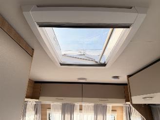 LMC  Munsterland 430D Sassino picture 33