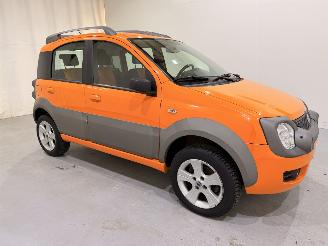 Schadeauto Fiat Panda Cross 1.3D 4x4 68.000KM 2006/11