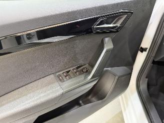 Seat Ibiza 1.0 TSI FR Business Intense Aut7 picture 48