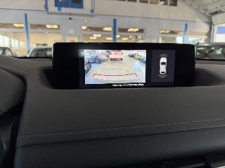 Mazda MX-30 e-Skyactiv EV 145 First Edition aut picture 21