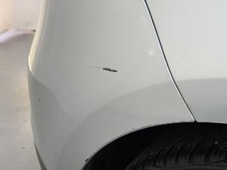 Renault Mégane HB 2.0 TCe 180 Privilege picture 31