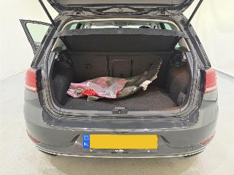 Volkswagen Golf e-Golf E-DITION Navi/NAP picture 34
