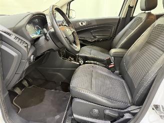 Ford EcoSport 1.0 EcoBoost Titanium picture 34