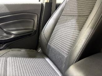 Ford EcoSport 1.0 EcoBoost Titanium picture 28