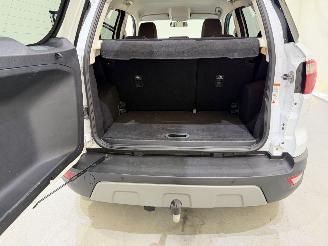 Ford EcoSport 1.0 EcoBoost Titanium picture 15