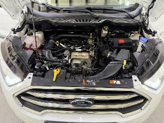 Ford EcoSport 1.0 EcoBoost Titanium picture 22