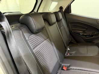 Ford EcoSport 1.0 EcoBoost Titanium picture 19