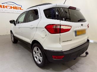 Ford EcoSport 1.0 EcoBoost Trend Ultimate picture 25
