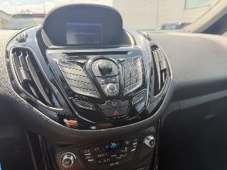 Ford B-Max 1.0 EcoBoost Titanium NAP picture 29