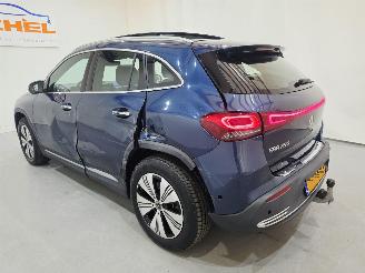 Mercedes EQA 250 Business Solution Luxury  Bjr.2022 SOH-97% picture 6