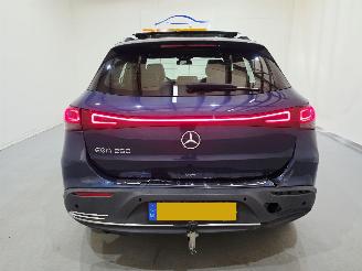 Mercedes EQA 250 Business Solution Luxury  Bjr.2022 SOH-97% picture 5
