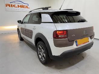 Citroën C4 cactus 1.2 PureTech 82 Shine Automaat picture 4