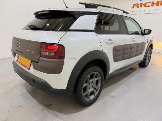 Citroën C4 cactus 1.2 PureTech 82 Shine Automaat picture 6