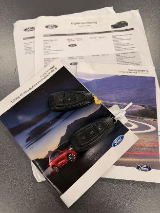 Ford Kuga 2.5 PHEV Vignale ST-Line picture 34
