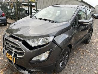 škoda osobní automobily Ford EcoSport 1.0 2019/9