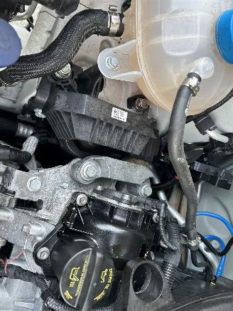 Fiat 500C 1.0 Hybrid Cabriolet picture 15