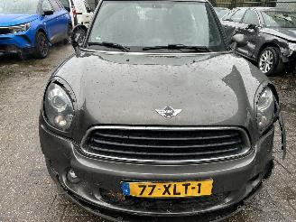 Mini Countryman 1.6 One Edition  ( Panoramadak ) picture 3
