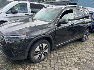 Mercedes EQB 250  Automaat Business line  67 kWh picture 1
