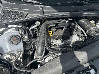 Skoda Fabia 1.0 TSI  Selection picture 5