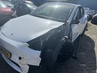 krockskadad bil auto Tesla Model Y Bev Rear-Wheel Drive 2024/6