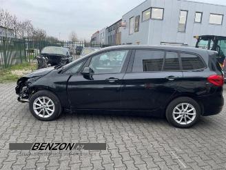 BMW 2-serie 2 serie Gran Tourer (F46), MPV, 2014 216d 1.5 TwinPower Turbo 12V picture 3