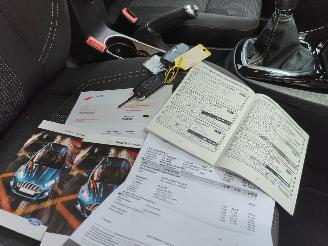 Ford Fiesta 1.0 Titanium Navi Cruise Clima picture 16