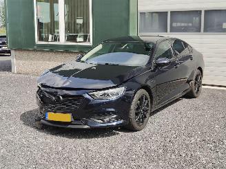  Opel Insignia GRAND SPORT 1.5 Torbo Executive Clima Cruise Tr.haak 2019/9