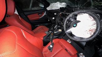 BMW 3-serie 3 serie Touring (F31), Combi, 2012 / 2019 335d xDrive 3.0 24V picture 9