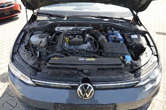 Volkswagen Golf Volkswagen Golf VIII Life +  Alcantara Pdc kam Acc IQ Light picture 21