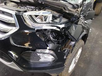 Ford Kuga  picture 15