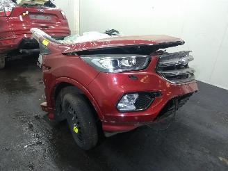 Auto da rottamare Ford Kuga  2019/1