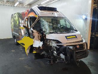 Autoverwertung Fiat Ducato  2020/1
