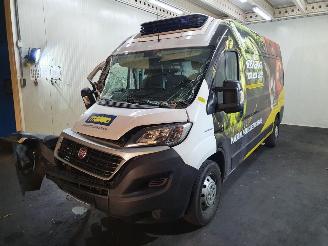 Fiat Ducato  picture 34