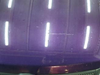 Fiat Panda  picture 2